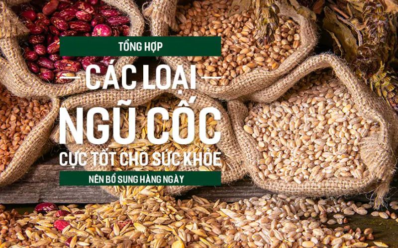 9 loại ngũ cốc cực tốt